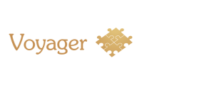 Voyager Software logo